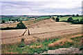 SK8002 : Tractor marks in a wheatfield by Stephen Craven