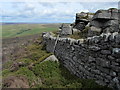 SE0860 : Wall below Outcrops on Barden Fell by Chris Heaton