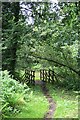 TQ1462 : Bridle bridge on Arbrook Common by Hugh Craddock