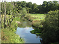 SP2282 : River Blythe below Molands Bridge  by Robin Stott