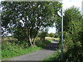 NZ3346 : Railway path near High Moorsley by Malc McDonald