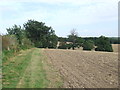 TL4801 : Public footpath near Epping by Malc McDonald