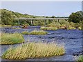 NZ0863 : Islands in the River Tyne above Ovingham Bridge by Andrew Curtis