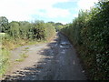 ST3195 : Passing place on a narrow lane near Croesyceiliog by Jaggery