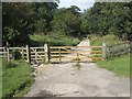 NZ8301 : Rail Trail from Goathland to Grosmont by Pauline E