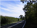 TM4385 : A145 London Road,  Shadingfield by Geographer