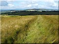 NS4278 : Old field boundary by Lairich Rig