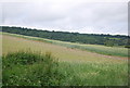 TQ6761 : Wheat field by N Chadwick