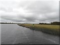 M9111 : Shannon Navigation Marker, The Callows, Co. Offaly by JP