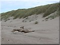 NT4582 : Dune front, Gullane Links by Richard Webb