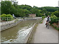 ST8060 : Avoncliff - Avoncliff Viaduct by Chris Talbot