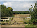 SU2191 : View along field margin to Highmoor Copse by Nick Smith