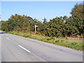 TM3545 : Footpath to Melton Road near Hollesley Water Tower by Geographer