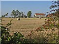 SE7387 : Bales awaiting collection, south of Appleton-le-Moors by Pauline E