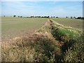 SE4613 : An anonymous drain north of Common Lane by Christine Johnstone