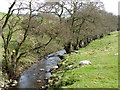 NO2050 : Ewe and lambs near Bamff by Maigheach-gheal