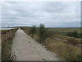 TQ5478 : Sea wall near Rainham Marshes by PAUL FARMER