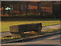 TQ4174 : Cattle trough on Eltham Green Road by Stephen Craven