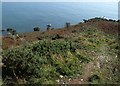 SX3353 : Coastal slope, Cargloth Cliffs by Derek Harper