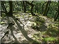 SE0026 : Path erosion on Hebden Royd FP 17, Redacre Wood , Mytholmroyd by Humphrey Bolton