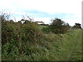 TQ3911 : Houses on the site of the former Lewes racecourse grandstand by Dave Spicer