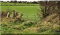 D4302 : Gate, Islandmagee by Albert Bridge