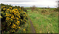 D4302 : The Quarterlands Road, Islandmagee (6) by Albert Bridge