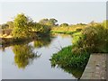 SK7283 : Early morning sun on the Chesterfield Canal by Christine Johnstone