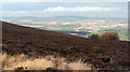 NJ6622 : Heather moorland on north side of Bennachie by Trevor Littlewood