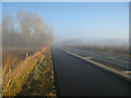 TL4555 : Cycle path by Guided Busway by Mr Ignavy