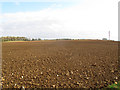 TR0843 : Field at the top of the North Downs by Stephen Craven