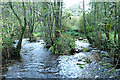 SX7483 : North Bovey: River Bovey by Martin Bodman