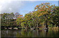 SO8992 : Island Pool in Baggeridge Country Park near Sedgley by Roger  D Kidd