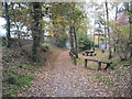 SJ6167 : Whitegate Way looking South past the picnic area by Dr Duncan Pepper