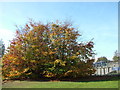 TL8465 : Autumnal scene by bridges by John Goldsmith