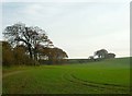 SU5079 : Arable farmland with banks of trees by Fly