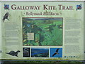 NX6865 : Galloway Kite Trail information by M J Richardson