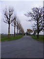 TM1974 : The Entrance to Town Farm, Hoxne by Geographer