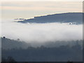 TQ1548 : Bury Hill Above the Mist by Colin Smith