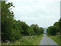 SN7166 : Dismantled railway near Ystradmeurig, Ceredigion by Roger  D Kidd