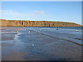 TA1281 : Ebbing tide, Filey by Pauline E