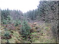 NY6191 : Unnamed Sike, Kielder Forest by Les Hull