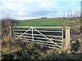 TA0875 : Field gate on the north side of the Wold Newton road by Christine Johnstone