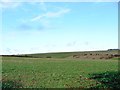 TA0773 : Crop field near Burton Fleming Grange by Christine Johnstone