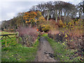 SJ9489 : Goyt Valley Way at Chadkirk by David Dixon