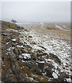 NY6809 : The edge of Grange Scar by Karl and Ali