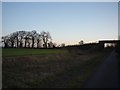 SE6143 : Bridge over the York to Selby cycle path by DS Pugh