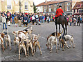 SE7871 : Horse and hounds by Pauline E