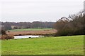 TM2841 : Reedbeds in Kirton Brook by Simon Mortimer