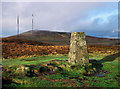 J2974 : Black Mountain North Triangulation Pillar by Rossographer